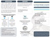 Rely Credit Live Check SC Brochure